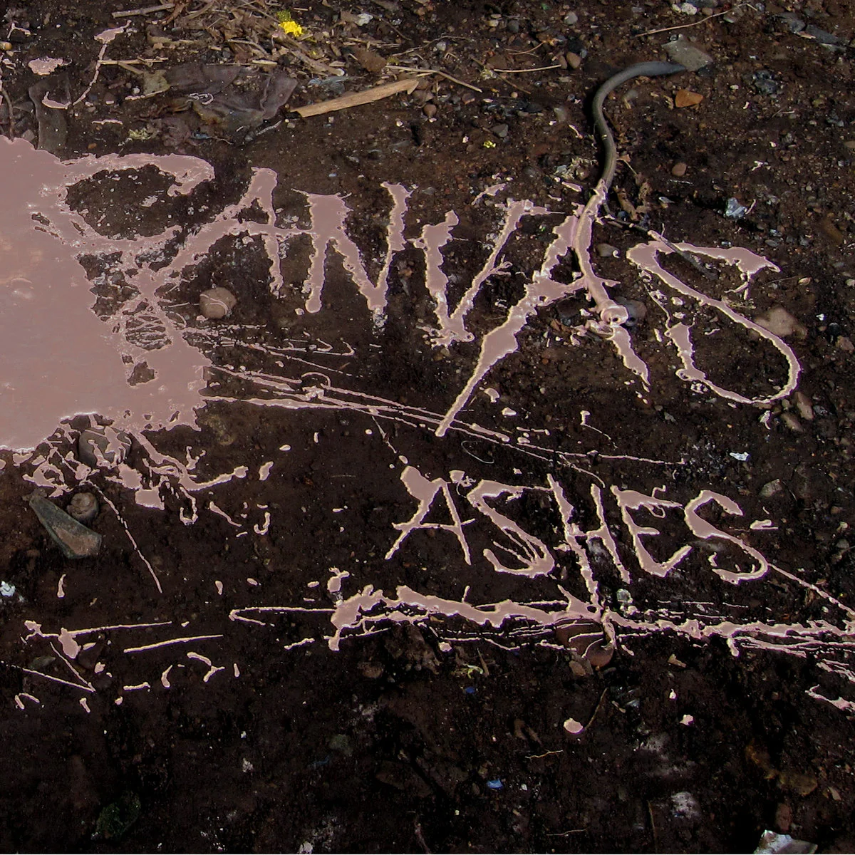 Canvas "Ashes"