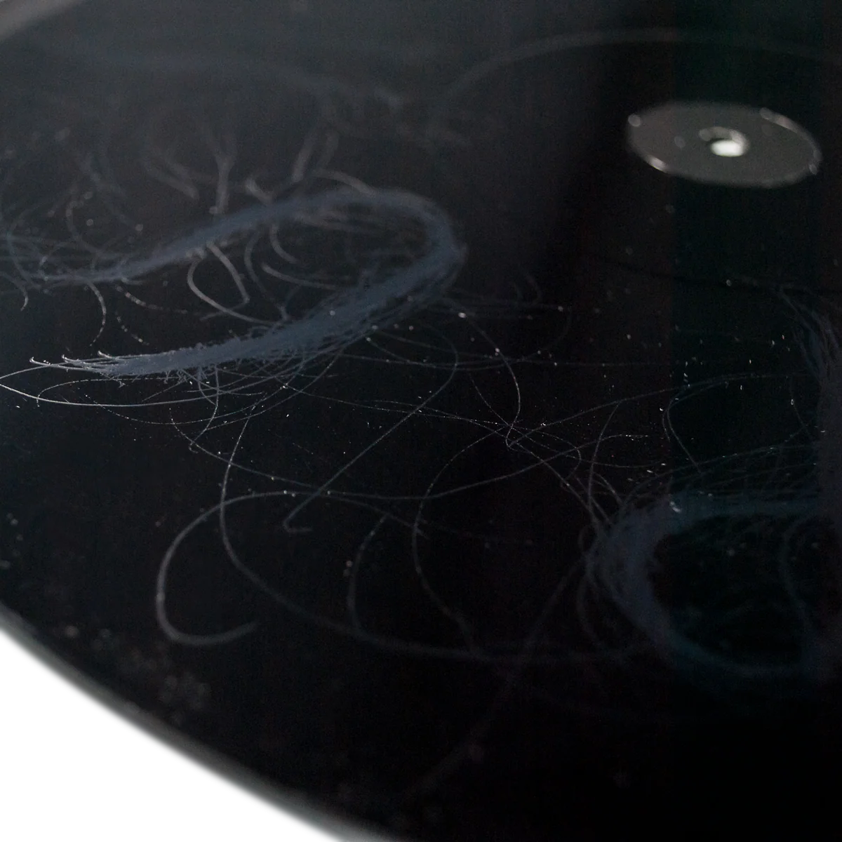 Chelsea Wolfe "Hiss Spun" - Image 3