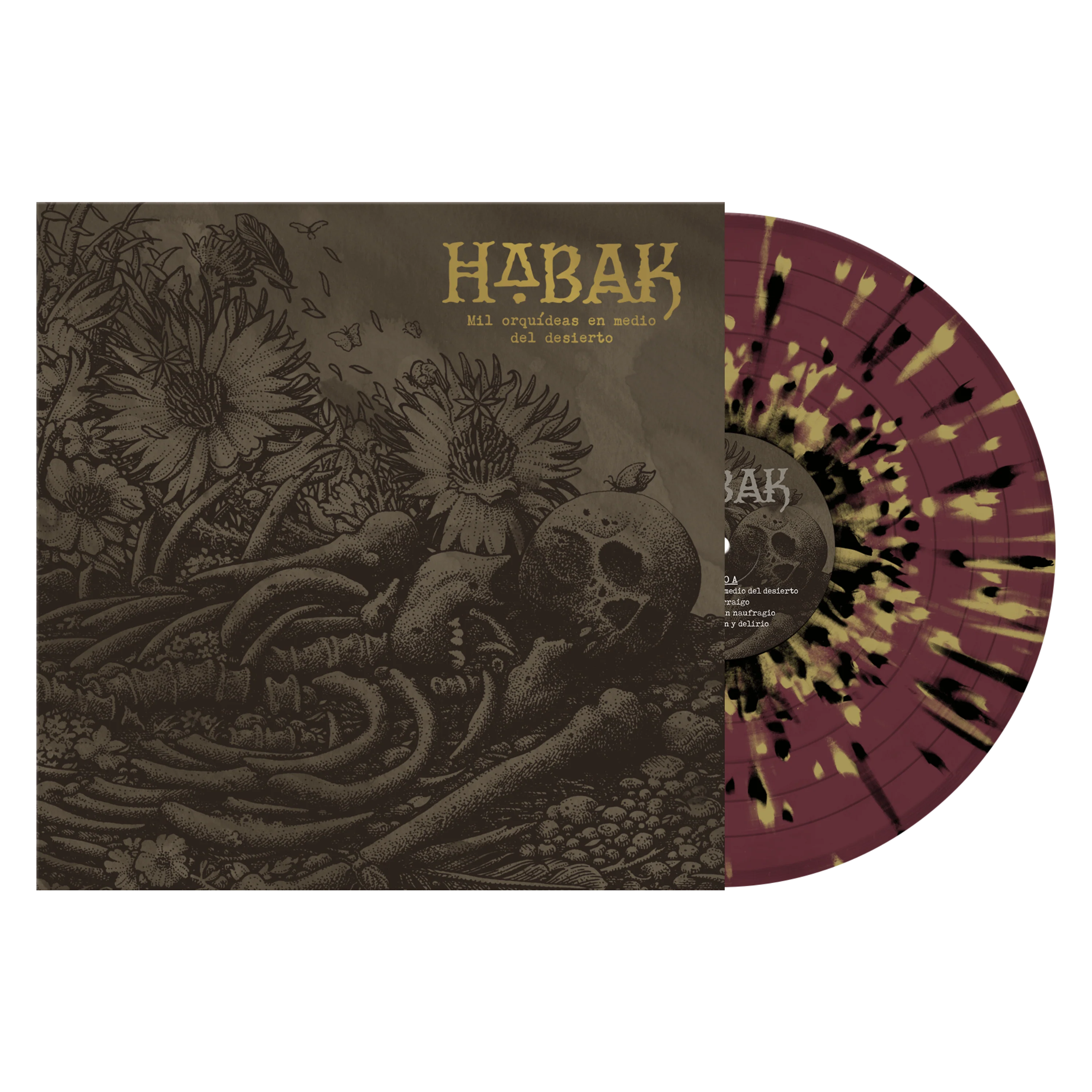 Habak "Mil Orquídeas En Medio Del Desierto" - Image 6