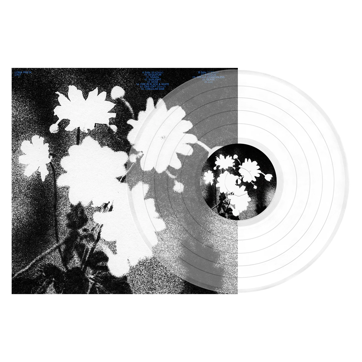 Loma Prieta "Last" - Image 3