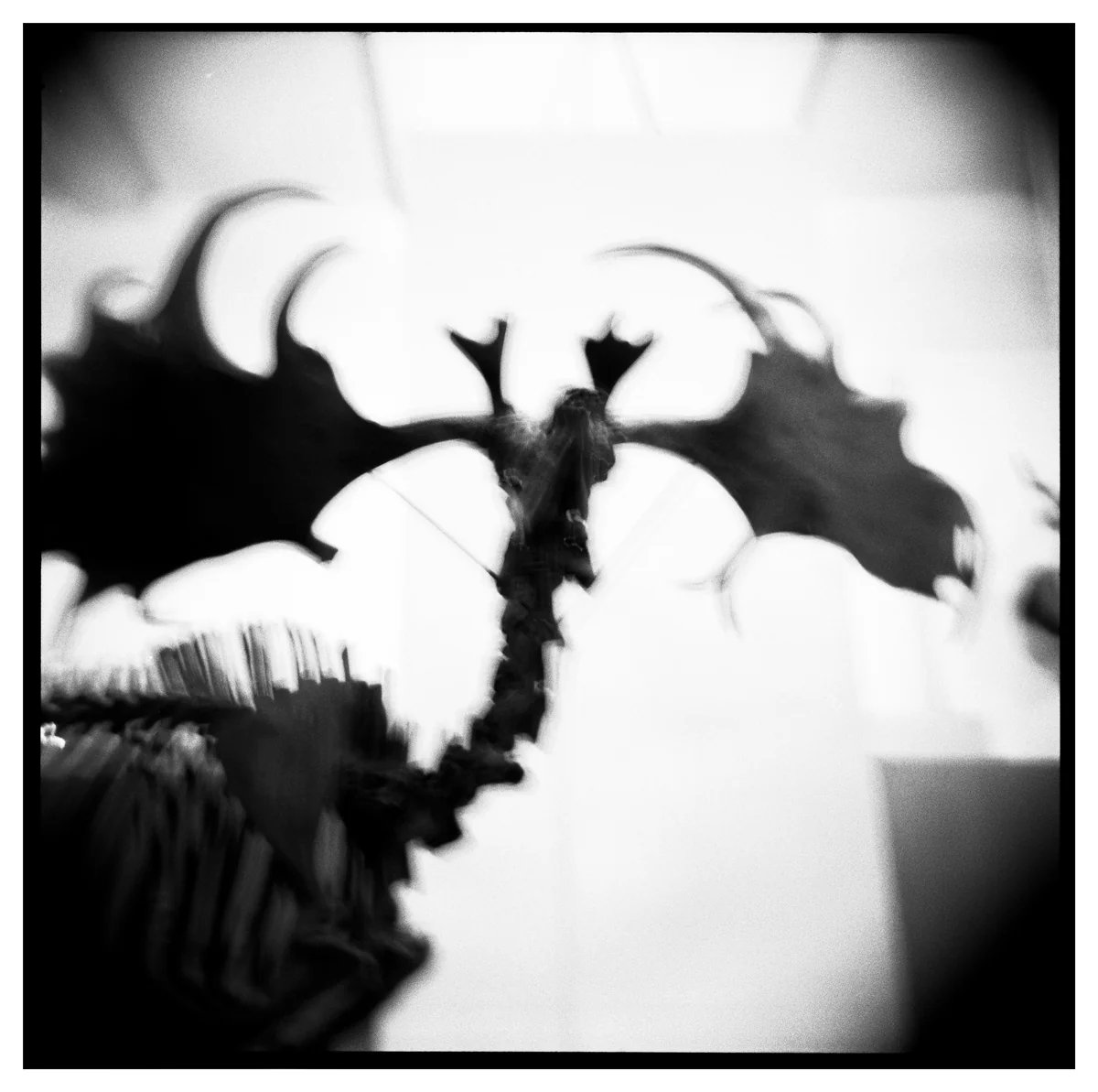 Reid Haithcock "Bones: 1" Giclee Print - Image 2