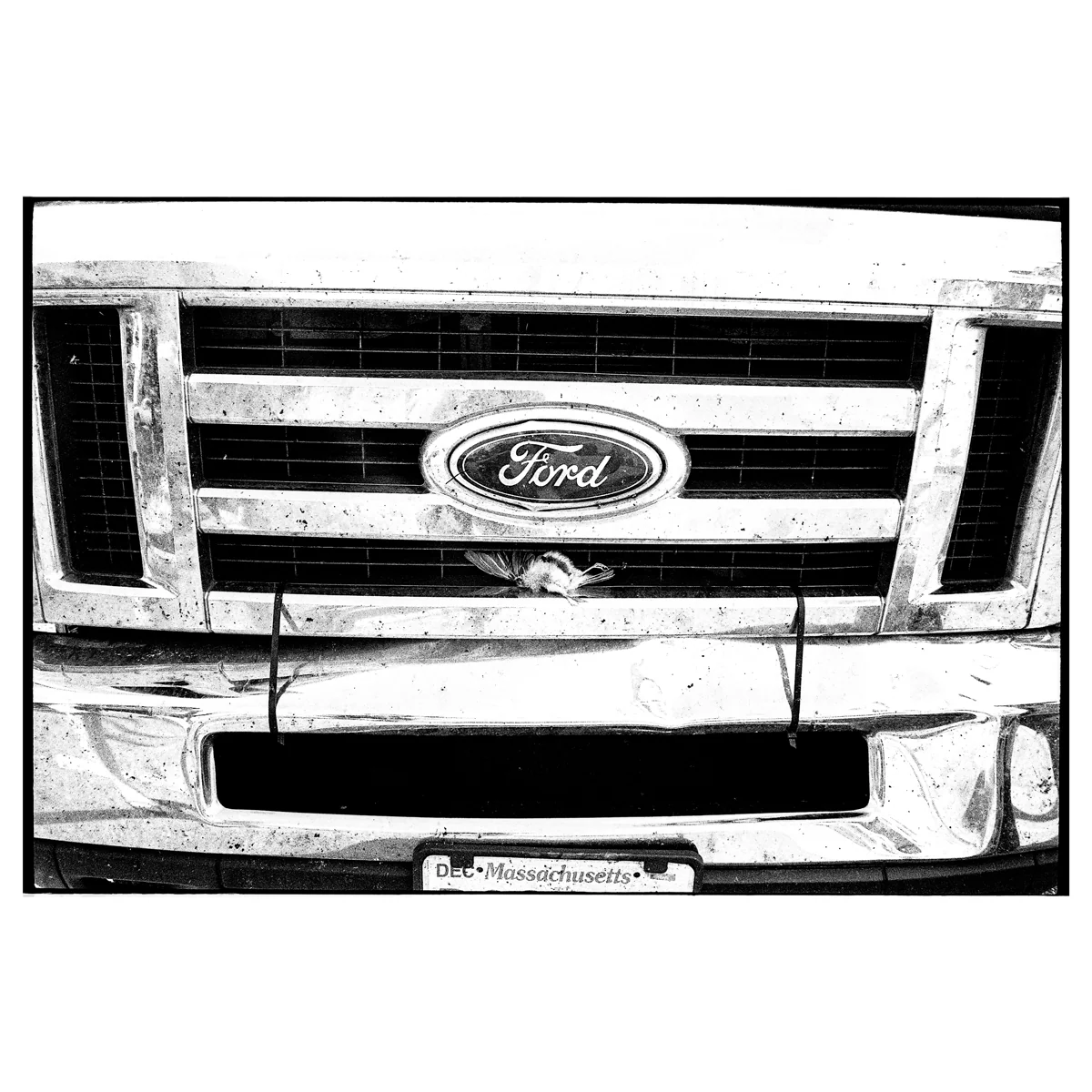 Reid Haithcock "Tour Van" Giclee Print - Image 2