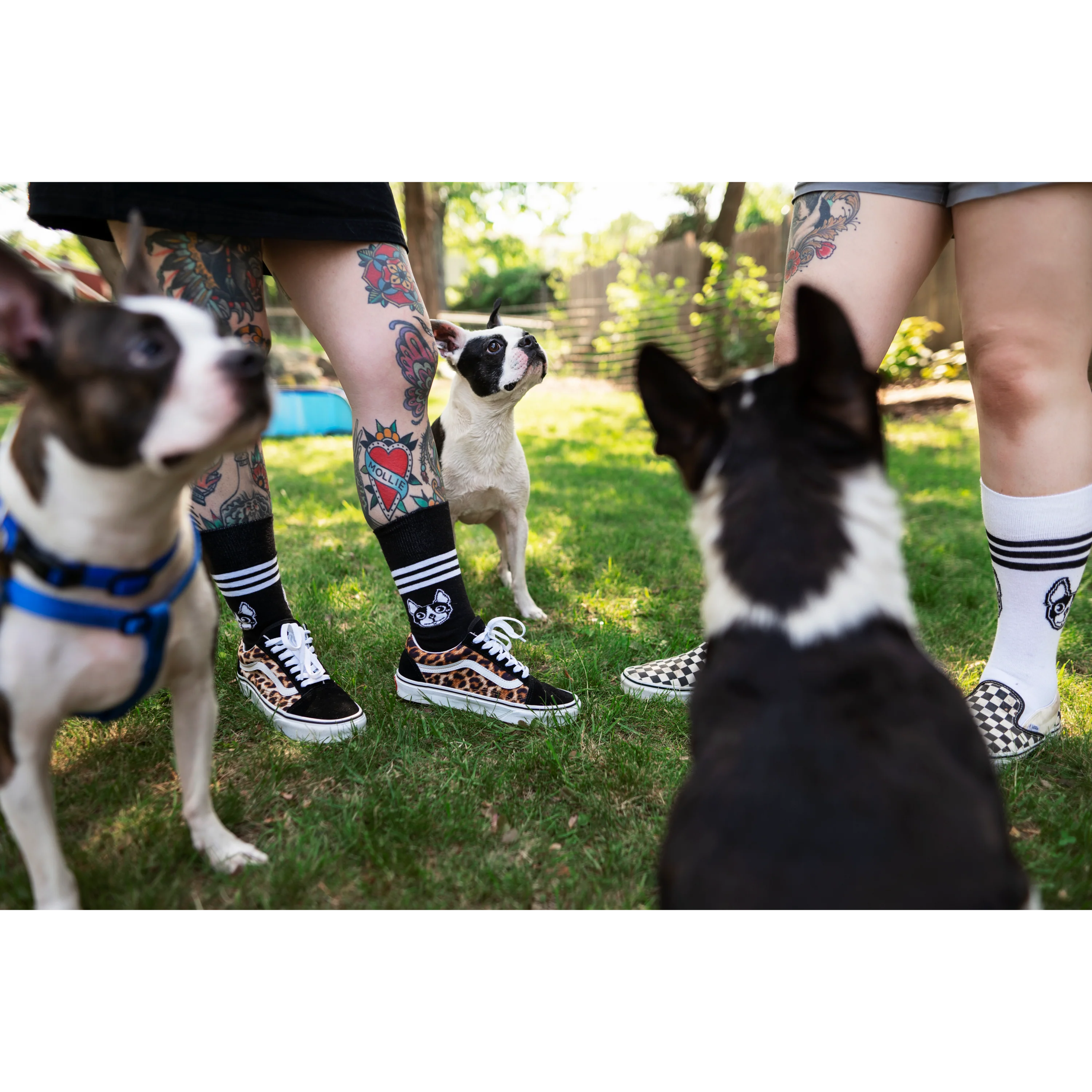 Terrier Cvlt "Dog Face" Black Socks - Image 3