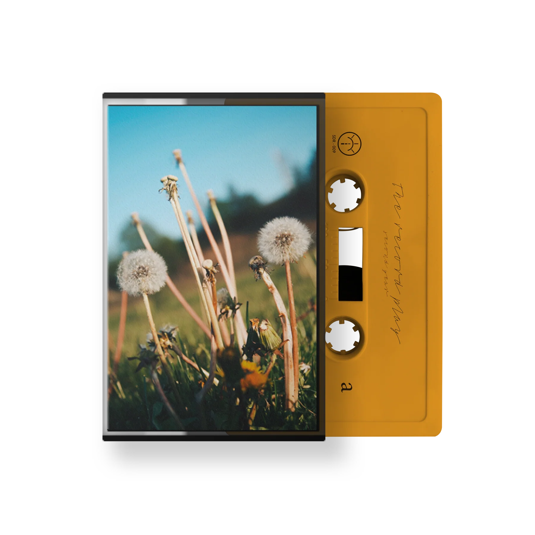 The Record Play "Second Year" - Image 2