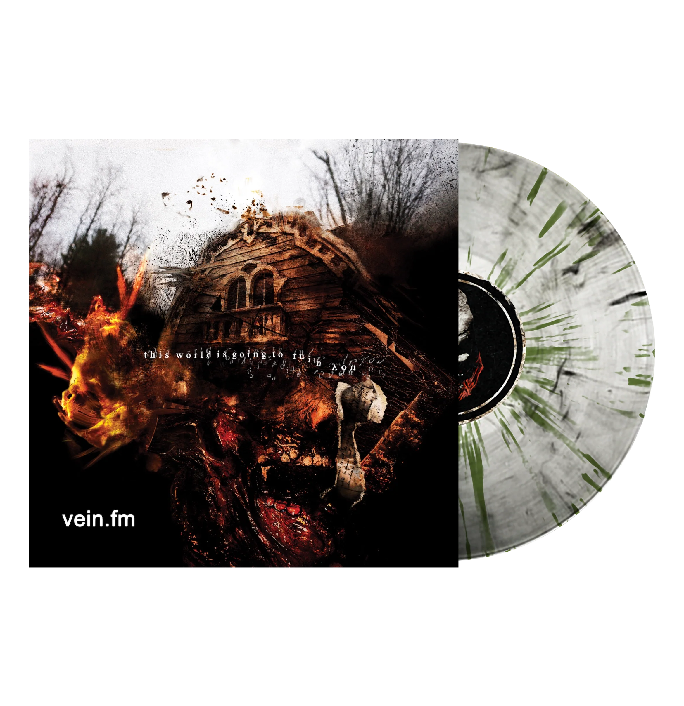 Vein.fm "This World Is Going To Ruin You" - Image 2